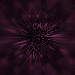PalandorZone Texture / Tile