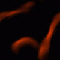 PalandorZone Texture / Tile