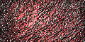 PalandorZone Texture / Tile