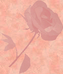 PalandorZone - Holiday Graphic