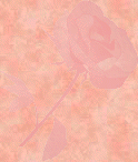 PalandorZone - Holiday Graphic