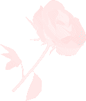 PalandorZone - Holiday Graphic